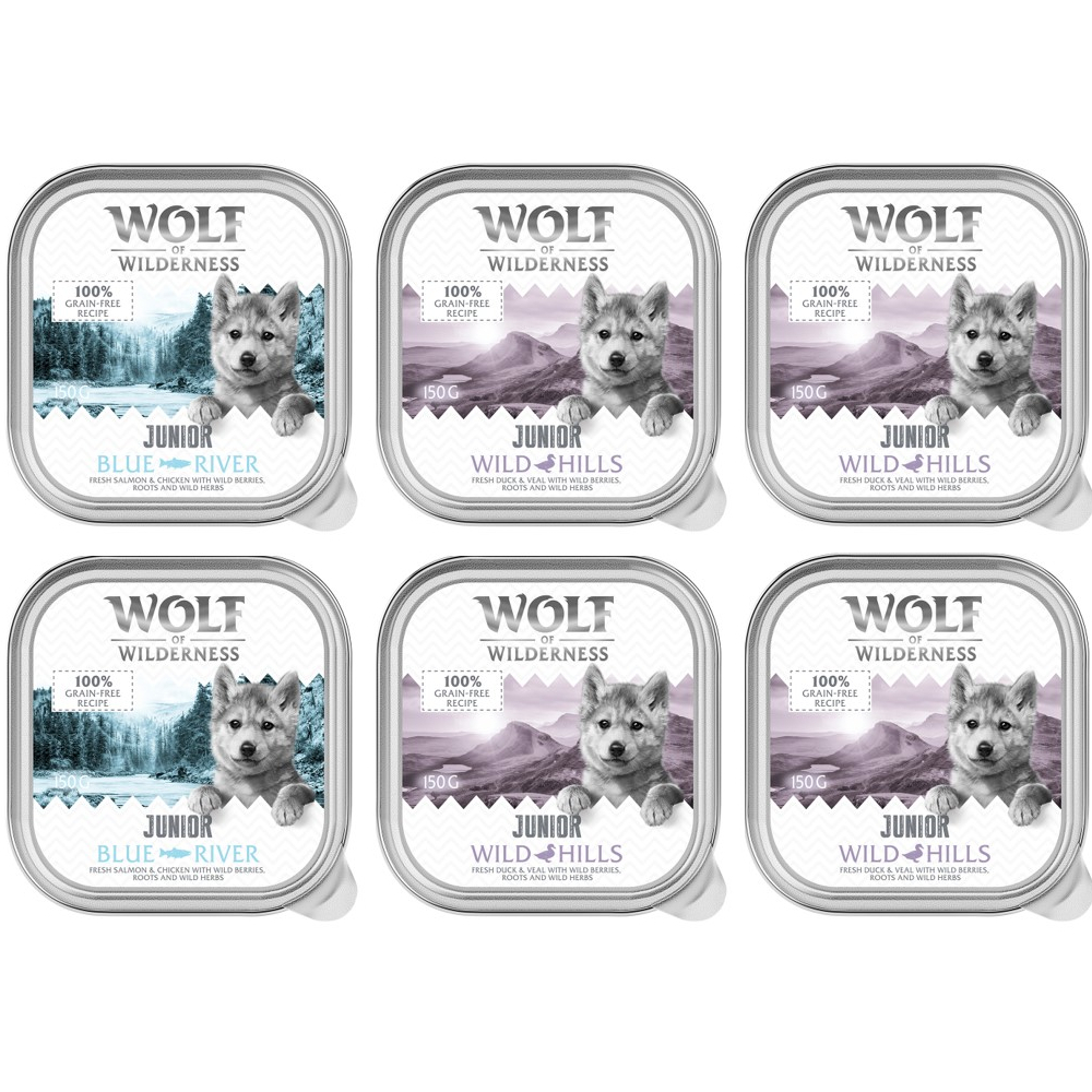Wolf of Wilderness JUNIOR - Duo-Protein Rezeptur 6 / 24 x 150 g Schale - 6 x 150 g 4x Ente & Kalb, 2x Huhn & Lachs von Wolf of Wilderness