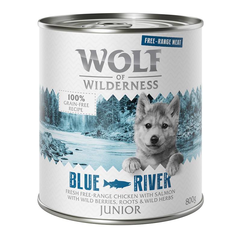 Wolf of Wilderness JUNIOR - Freiland-Huhn & Lachs - Sparpaket 12 x 800 g von Wolf of Wilderness
