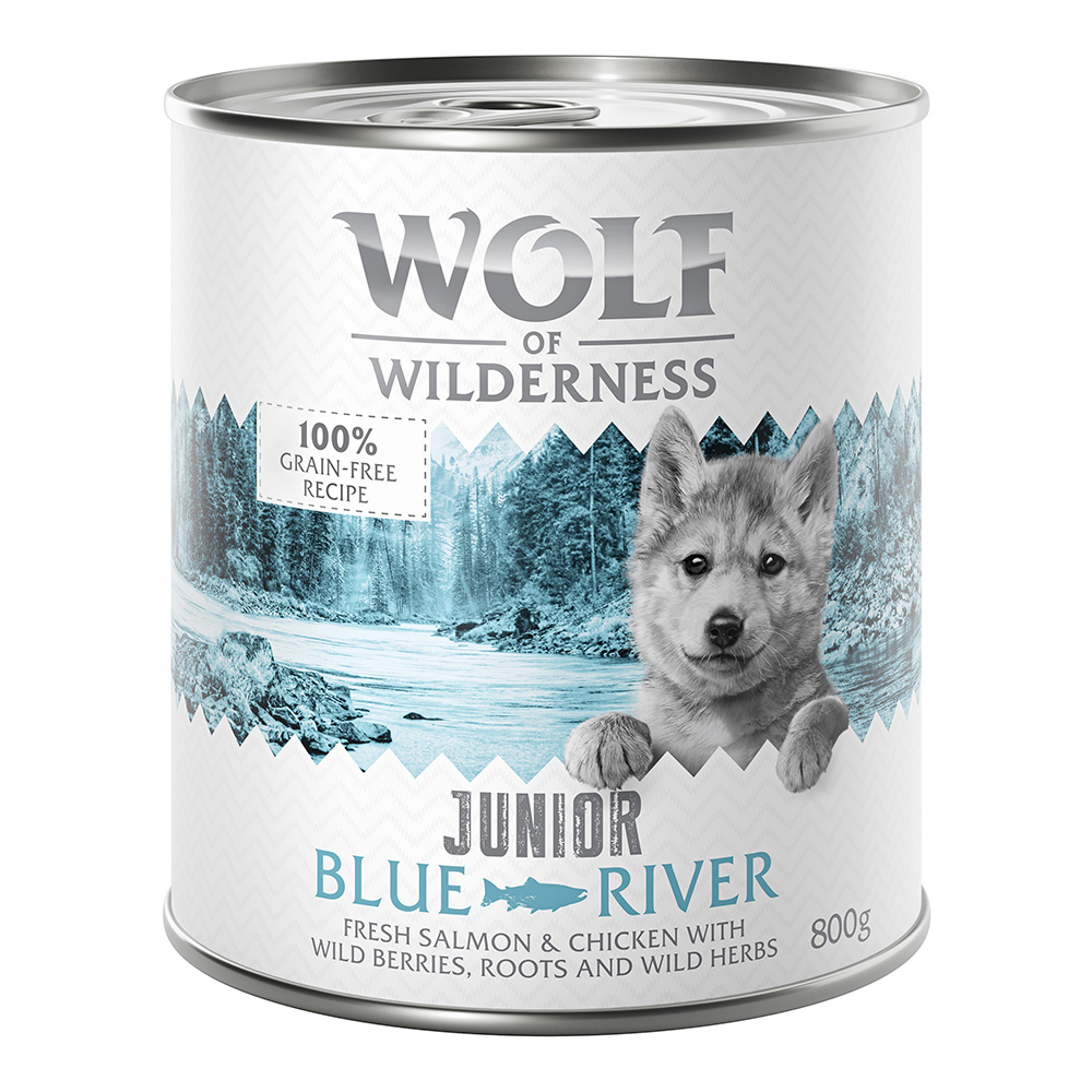 Wolf of Wilderness JUNIOR - Huhn & Lachs - Sparpaket 24 x 800 g von Wolf of Wilderness
