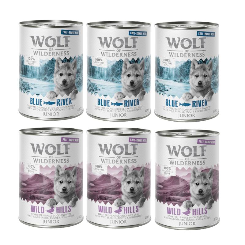 Wolf of Wilderness JUNIOR - Mixpaket - 24 x 400 g: 12x Huhn & Lachs, 12x Ente & Kalb von Wolf of Wilderness
