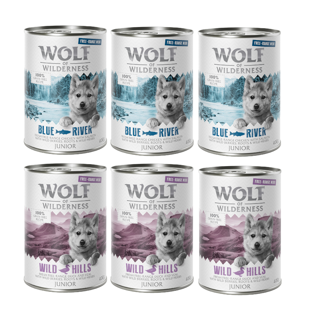 Wolf of Wilderness JUNIOR - Mixpaket - 6 x 400 g: 3x Freiland-Ente & Freiland-Kalb und 3x Freiland-Huhn & Lachs von Wolf of Wilderness