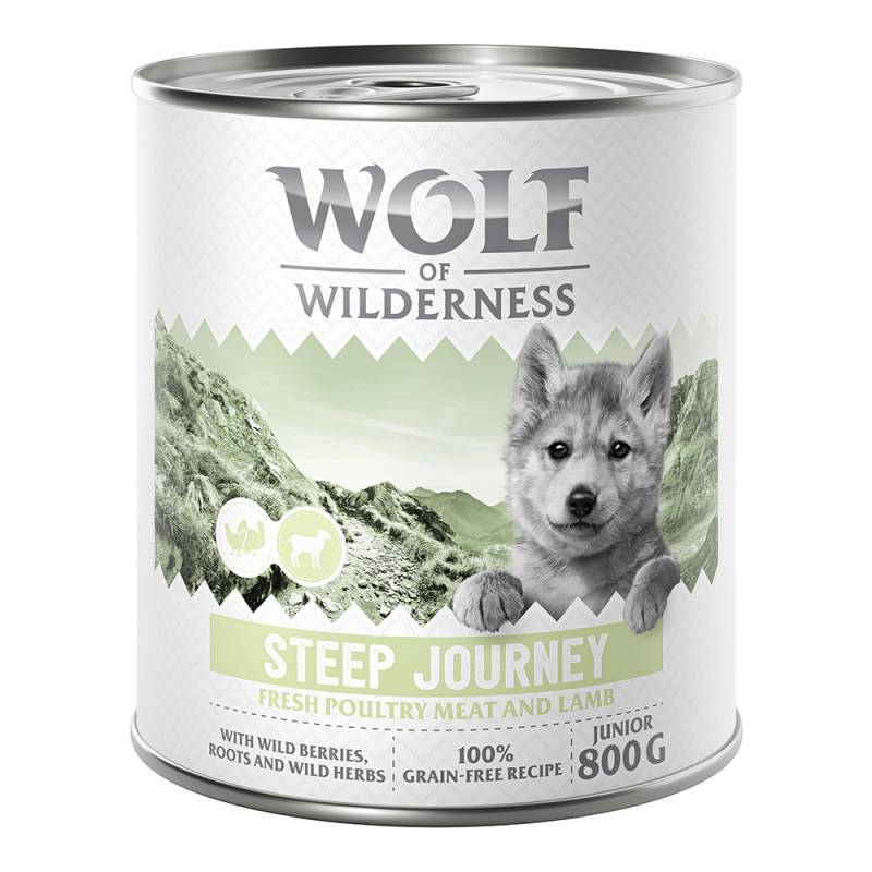 Wolf of Wilderness Junior - mit viel frischem Geflügel 6 x 800 g - Steep Journey - Geflügel mit Lamm von Wolf of Wilderness