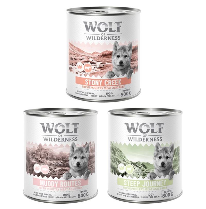 Wolf of Wilderness Junior - mit viel frischem Geflügel 6 x 800 g - Mixpaket von Wolf of Wilderness