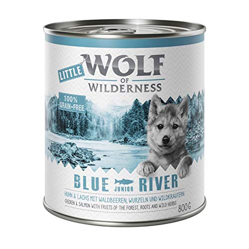 Wolf of Wilderness Little 6 x 800 g – Blue River Junior – Huhn & Lachs von Wolf of Wilderness