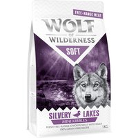 Wolf of Wilderness Mini "Soft - Silvery Lakes" - Freiland-Huhn & Ente - 5 x 1 kg von Wolf of Wilderness