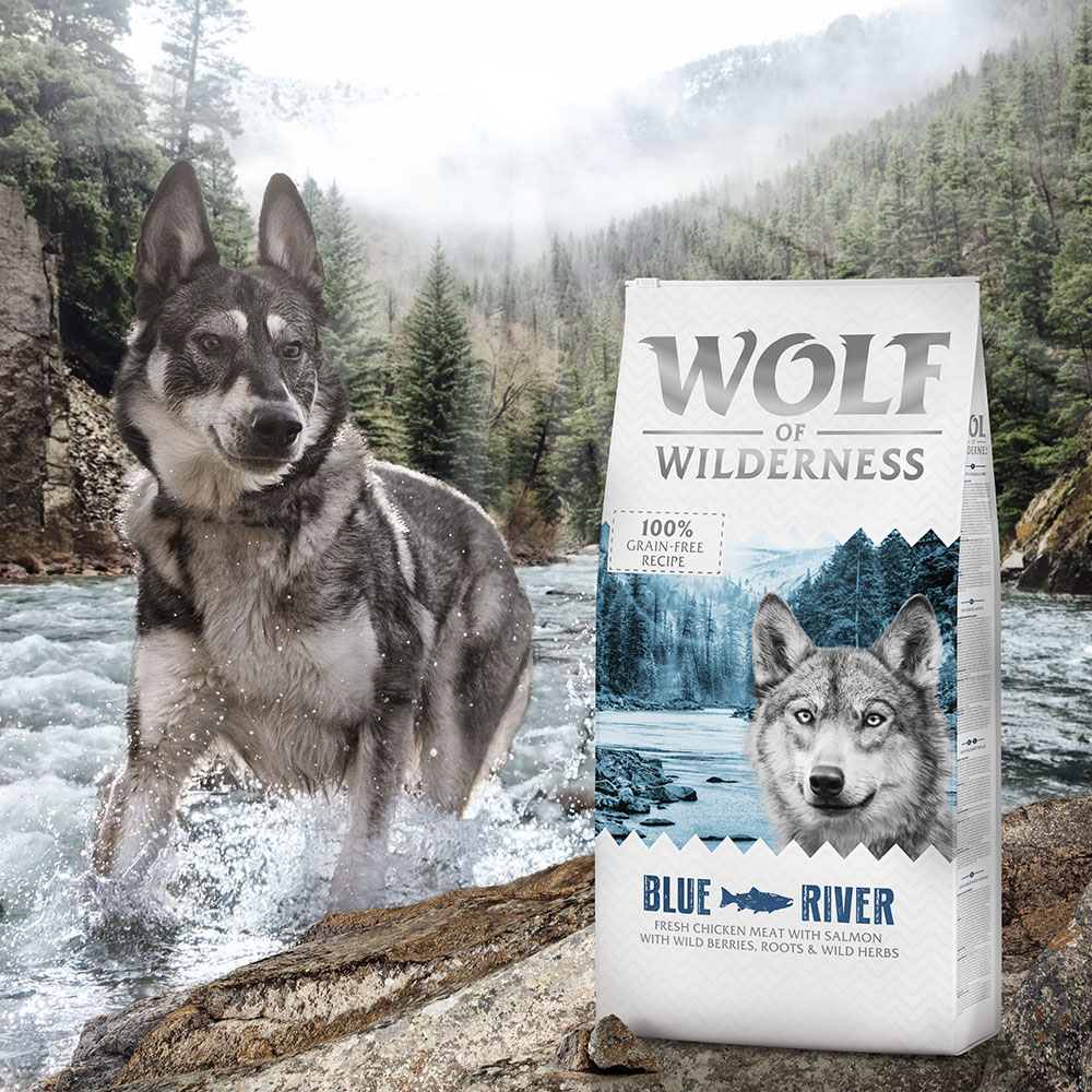 Wolf of Wilderness Probierbeutel - getreidefrei - halbfeucht: SOFT Wide Acres - Huhn (350 g) von Wolf of Wilderness