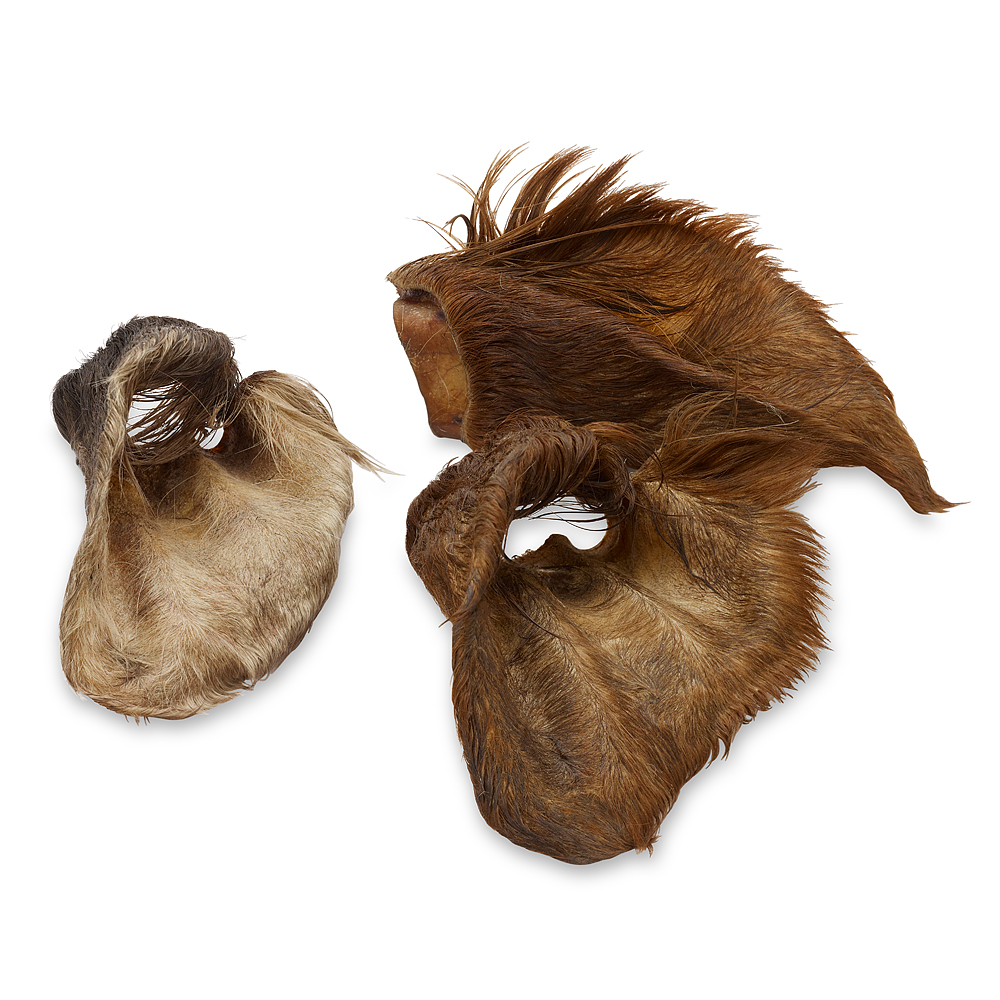 Wolf of Wilderness - Rinderohren mit Fell - Sparpaket: 240 g (6 Stück) von Wolf of Wilderness