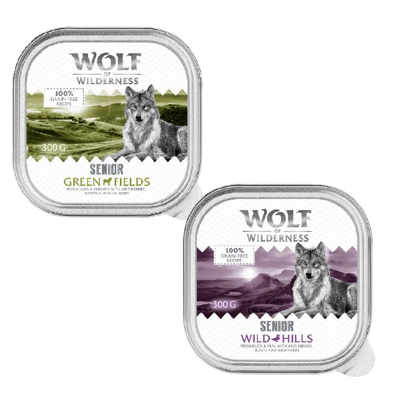 Wolf of Wilderness Senior - Duo-Protein Rezeptur 6 / 24 x 300 g Schale - 24 x 300 g: Mixpaket (12x Lamm & Huhn, 12x Ente & Kalb) von Wolf of Wilderness