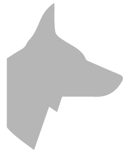 Wolfone Schleppleine für Hunde，3m Hellgrau wasserdichte Lange Rückruf Hundeleine mit Anti-Rutsch-Griff, Heavy Duty robuste Ausbildung Hundeleine für Outdoor-Aktivitäten von Wolfone