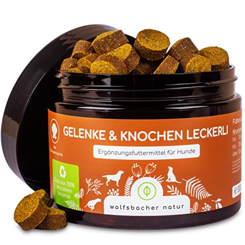 Gelenksnacks für Hunde - Grünlippmuschel Leckerlies | Unterstützung für Hüfte, Knochen & Bänder | 140 Stück für Bewegungsfreiheit & Flexibilität von Wolfsbacher