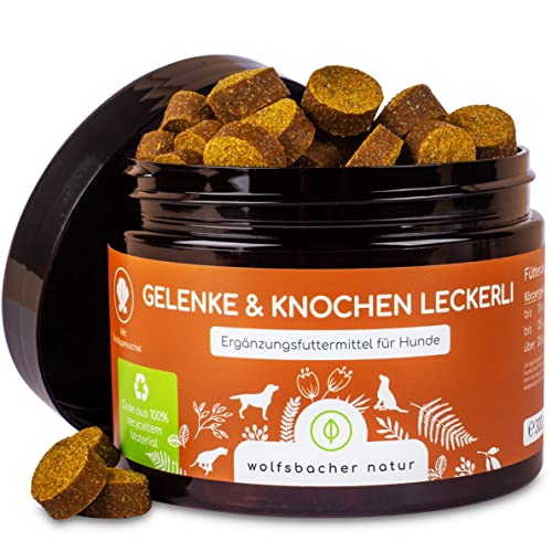 Gelenktabletten für Hunde als Snack | 140 Leckerlis mit Grünlippmuschel & MSM | Gelenkschutz, Knorpelpflege & Knochenaufbau | Natürliche Zutaten unterstützen Gelenke und Knochen von Wolfsbacher