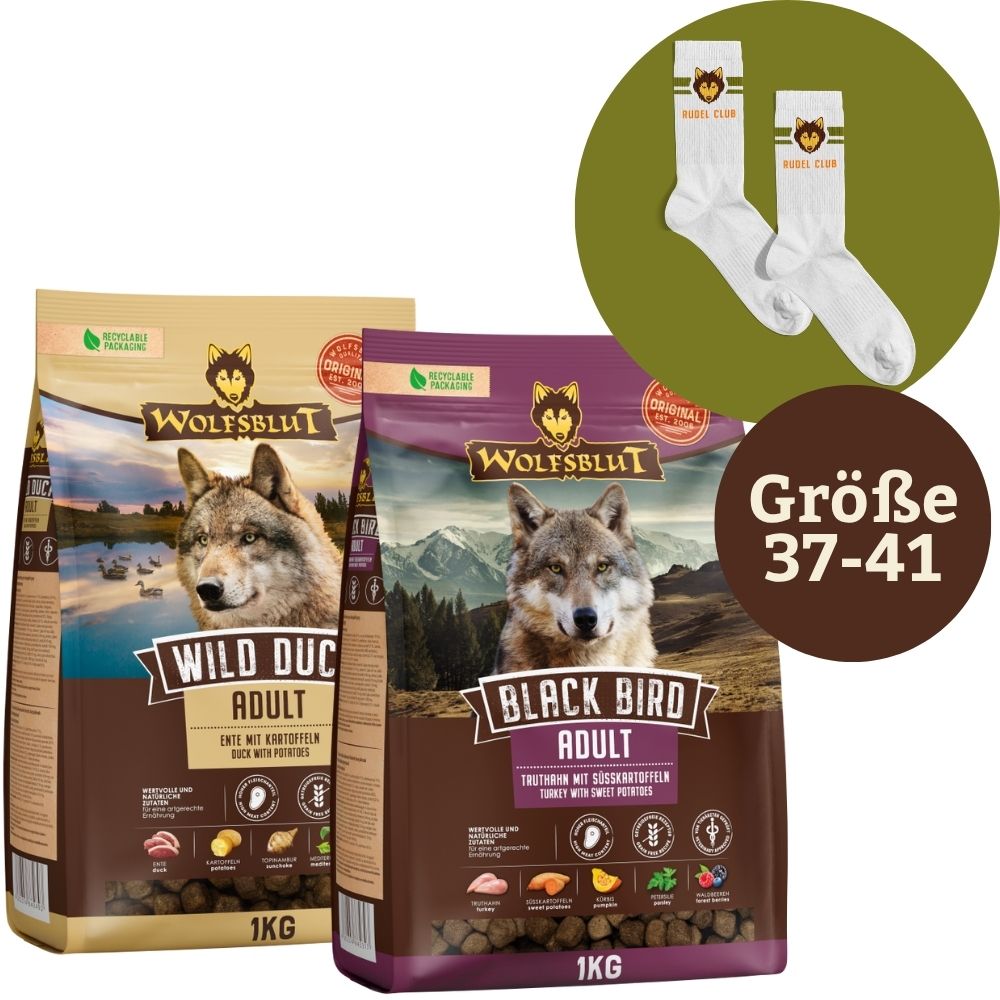 Wolfsblut | 2 x 1 kg + Rudelsocken Größe 37-41 | Adult | 1 Paket Wolfsblut | 2 x 1 kg + Rudelsocken Größe 37-41 | Adult | 1 Paket von Wolfsblut