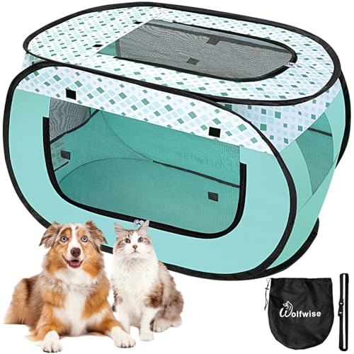 WolfWise Welpenlaufstall, Tragbarer Welpenauslauf 80 x 50 x 50 cm, Tierlaufstall für Wohnung, Laufstall für Hunde, Katzen, Welpen, im Innen- und Außenbereich, Katzengehege Outdoor Katzenzelt, Grün WolfWise Welpenlaufstall, Tragbarer Welpenauslauf 80 x 50 x 50 cm, Tierlaufstall für Wohnung, Laufstall für Hunde, Katzen, Welpen, im Innen- und Außenbereich, Katzengehege Outdoor Katzenzelt, Grün von WolfWise
