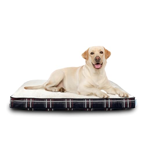 WoliPet Orthopädisches Hundebett für mittelgroße Hunde, Hundekissenbett mit abnehmbarem, waschbarem Bezug, Eierkiste, Schaumstoff-Haustierbettmatte, karierte Haustiermatratze, geeignet für Hunde bis WoliPet Orthopädisches Hundebett für mittelgroße Hunde, Hundekissenbett mit abnehmbarem, waschbarem Bezug, Eierkiste, Schaumstoff-Haustierbettmatte, karierte Haustiermatratze, geeignet für Hunde bis von WoliPet