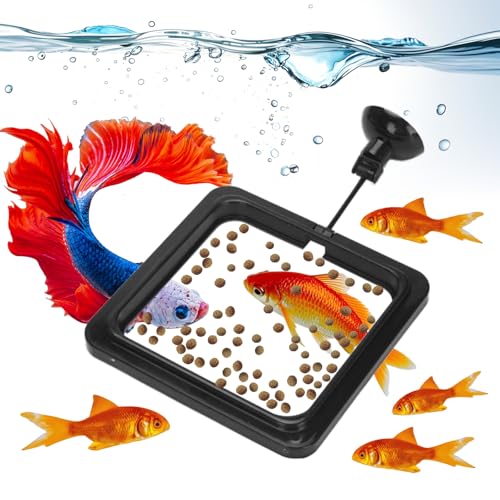 Silikon Fish Food Feeding Ring - stoppt Wasserturbulenz, verhindert, DASS Nahrungsmittel und schwimmende Pflanzen in den Filter wäschen - kompatibel mit Flocken und schwimmenden Pellets Silikon Fish Food Feeding Ring - stoppt Wasserturbulenz, verhindert, DASS Nahrungsmittel und schwimmende Pflanzen in den Filter wäschen - kompatibel mit Flocken und schwimmenden Pellets von Wolmds