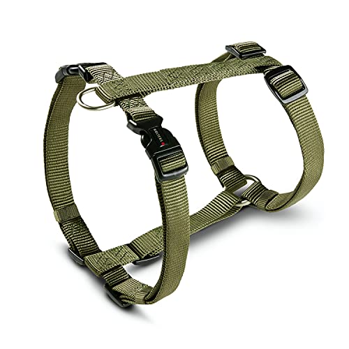 Wolters Geschirr Professional, Größe:L 50-70 cm x 20 mm, Farbe:Olive Wolters Geschirr Professional, Größe:L 50-70 cm x 20 mm, Farbe:Olive von Wolters Cat & Dog