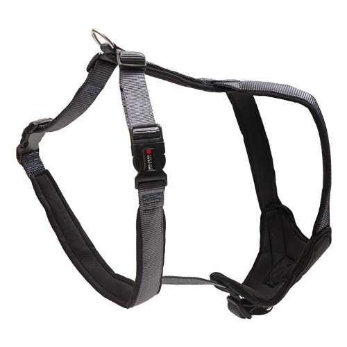 WOLTERS - Geschirr Professional Comfort - 45-50cm x 25mm - Graphit/schwarz WOLTERS - Geschirr Professional Comfort - 45-50cm x 25mm - Graphit/schwarz von Wolters Cat & Dog