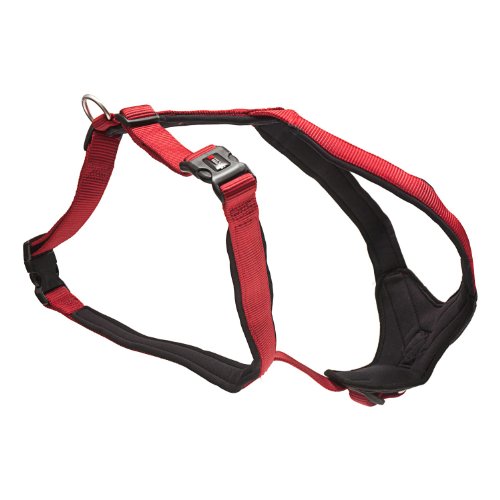 WOLTERS - Geschirr Professional Comfort - 45-50cm x 25mm - rot/schwarz von Wolters Cat & Dog