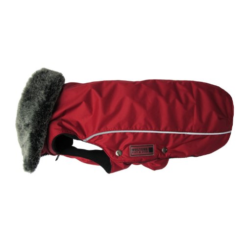 Wolters | Winterjacke Amundsen in Rot | Rückenlänge 42 cm von Wolters Cat & Dog