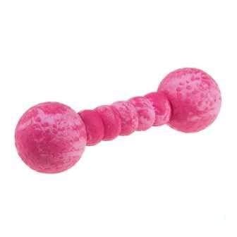 Wolters Cat & Dog Aqua-Fun Gym 23 cm, Farbe: Mango, für Erwachsene Hunde, Hundespielzeug, Wasseraktivitäten Wolters Cat & Dog Aqua-Fun Gym 23 cm, Farbe: Mango, für Erwachsene Hunde, Hundespielzeug, Wasseraktivitäten von Wolters Cat & Dog