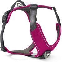 Wolters Active Pro Comfort Geschirr Geschirr Hundegeschirr magentarot L Wolters Active Pro Comfort Geschirr Geschirr Hundegeschirr magentarot L von Wolters