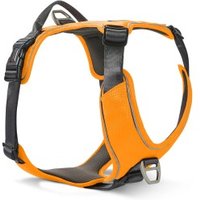 Wolters Active Pro Comfort Geschirr Geschirr Hundegeschirr orange XXL Wolters Active Pro Comfort Geschirr Geschirr Hundegeschirr orange XXL von Wolters