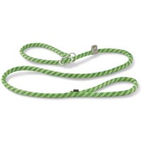 Wolters Everest-Tauprogramm Moxonleine 180cm Wolters Everest-Tauprogramm Moxonleine 180cm von Wolters