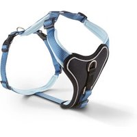 Wolters Professional Comfort Hundegeschirr blau M von Wolters