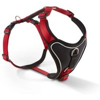Wolters Professional Comfort Hundegeschirr rot/ schwarz M Wolters Professional Comfort Hundegeschirr rot/ schwarz M von Wolters