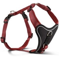 Wolters Professional Comfort Hundegeschirr rot XS Wolters Professional Comfort Hundegeschirr rot XS von Wolters