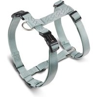 Wolters Professional Geschirr, Hundegeschirr Wolters Professional Geschirr, Hundegeschirr von Wolters