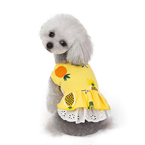 Wolyepor Süßes Cartoon-Prinzessinnen-Hundekleid Welpen-Tutu Rock Weste Bekleidung für Geburtstag (klein, Obst gelb) von Wolyepor