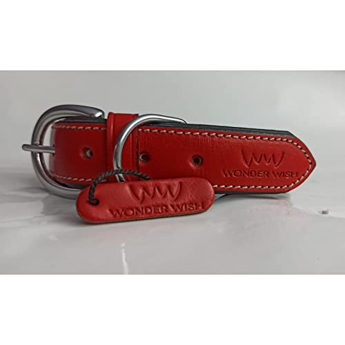 Wonder Wish Leather Dog Collar & Leash Set | Alloy Hardware Double D-Ring Collar (Medium-55 cm) von Wonder Wish