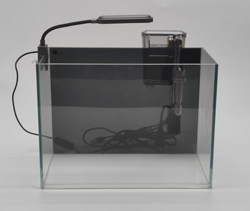 Glas-Aquarium mit Filter, 10 Gallonen von Wonderfactory