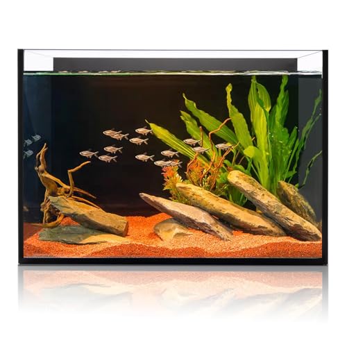 Leeres Aquarium, 1,8 l, robustes gehärtetes Glas mit vorgebohrten Löchern für Filtration, ideal für mittelgroße Wasseranlagen Leeres Aquarium, 1,8 l, robustes gehärtetes Glas mit vorgebohrten Löchern für Filtration, ideal für mittelgroße Wasseranlagen von Wonderfactory