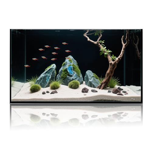 Leeres Aquarium, 10 Liter, extra großer Klarglasbehälter mit verstärktem Rand, perfekt für Gemeinschaftsfische oder lebende Pflanzen von Wonderfactory