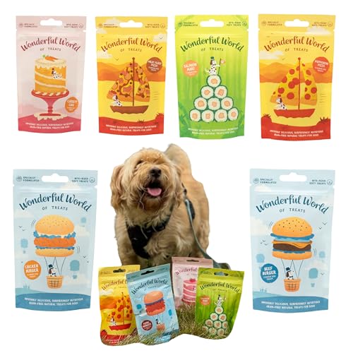 Wonderful World of Treats Sorten-Leckerli-Packung für Hunde, 6 Geschmacksrichtungen, Burger mit Rindfleisch und Hühnchen, Lachs-Maki, Pepperoni und Fleischschmaus Pizza, Karottenkuchen, 6 x 50 g Wonderful World of Treats Sorten-Leckerli-Packung für Hunde, 6 Geschmacksrichtungen, Burger mit Rindfleisch und Hühnchen, Lachs-Maki, Pepperoni und Fleischschmaus Pizza, Karottenkuchen, 6 x 50 g von Wonderful World of Treats