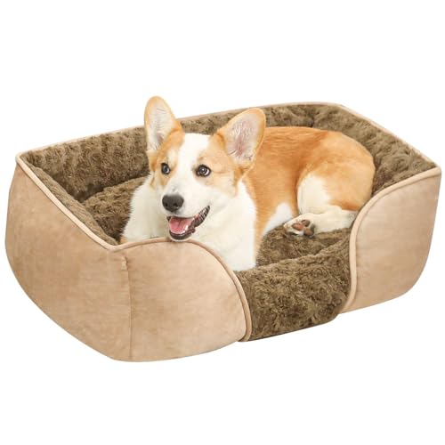 Wonsfuleu Hundebett Mittelgroß, Hundebetten, Hunde Sofa, Orthopädisches Hundebett, Dog Bed, Waschbares Welpenbett, Hunde Matratze, Abnehmbares Haustierbett Mit Rutschfester Unterseite Wonsfuleu Hundebett Mittelgroß, Hundebetten, Hunde Sofa, Orthopädisches Hundebett, Dog Bed, Waschbares Welpenbett, Hunde Matratze, Abnehmbares Haustierbett Mit Rutschfester Unterseite von Wonsfuleu