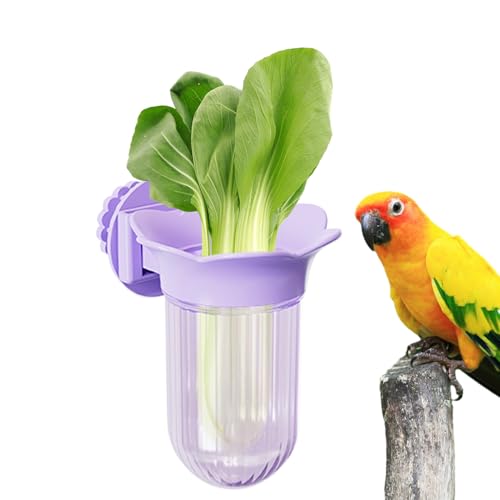 Wonsfuleu Vogelschalen Für Käfig - Futter- Und Wassernapf Mit Klemmvorrichtung | Futterspender Mit Klemmhalterung Für Kleintiere Wellensittiche Nymphensittiche Finken Vogelkäfig Wonsfuleu Vogelschalen Für Käfig - Futter- Und Wassernapf Mit Klemmvorrichtung | Futterspender Mit Klemmhalterung Für Kleintiere Wellensittiche Nymphensittiche Finken Vogelkäfig von Wonsfuleu