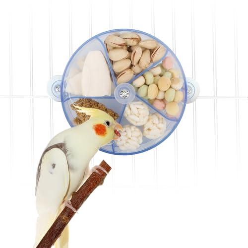 Bird Kreatives Futtermittel-Rad für Samen, rotierendes Trainingsspielzeug für kleine und mittelgroße Papageien, Sittiche, Nymphensittiche, Sittiche, Nymphensittiche, Sittiche, Conure ( Bird Kreatives Futtermittel-Rad für Samen, rotierendes Trainingsspielzeug für kleine und mittelgroße Papageien, Sittiche, Nymphensittiche, Sittiche, Nymphensittiche, Sittiche, Conure ( von Wontee