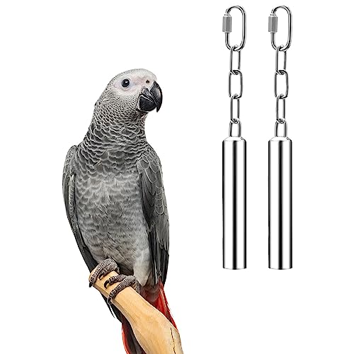 Vogelkäfig-Spielzeug aus Edelstahl, zum Aufhängen, für Papageien, Sittiche, Wellensittiche, Nymphensittiche, Graupapageien, 2 Stück von Wontee