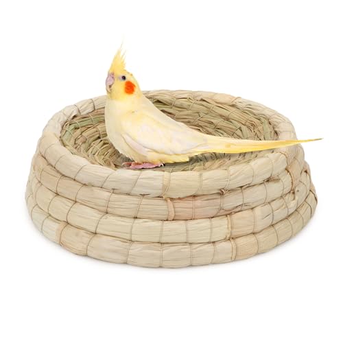 Wontee Handgewebter Strohhalm für Vögel, Nistkasten, Flachboden, Grasnest für Papageien, Aras, Graupapageien, Wellensittiche, Hamster, Wüstenmäuse, Chinchillas, Betthaus, L Wontee Handgewebter Strohhalm für Vögel, Nistkasten, Flachboden, Grasnest für Papageien, Aras, Graupapageien, Wellensittiche, Hamster, Wüstenmäuse, Chinchillas, Betthaus, L von Wontee