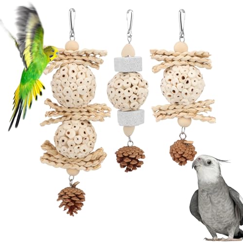 Wontee Vogelspielzeug für Papageien, Futtersuche, Hängespielzeug, Sola-Ball, natürliche Nüsse, Kauspielzeug für Nymphensittiche, Sittiche, Wellensittiche, Senegal (3 Stück) von Wontee