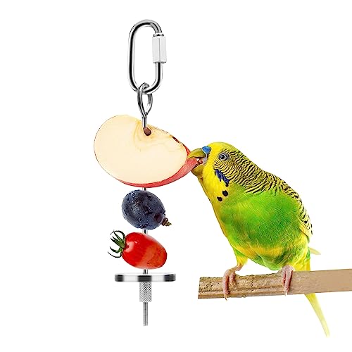 Wontee Vogelspieß für Papageien/Papageien/Obst/Gemüse/Spieß zum Aufhängen von Lebensmitteln, S: 4.72inch von Wontee