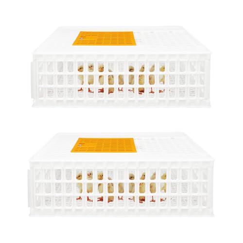 WooDerson Kunststoff-Transportkäfig für Hühner, Hühner-Transportbox, Korbbox für Geflügel, Vögel, Enten (Weiß, 2 Stück) von WooDerson