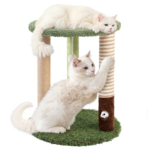 WOOCHPET Kratzbaum Turm mit 3 Kratzstämmen, 55,9 cm hoch, Sisal-Kratzbäume mit lustigem Katzenspielzeug für Kätzchen und erwachsene Katzen, kleiner Katzenturm und Sitzstange für Indoor-Katzen (grün) von Woochpet