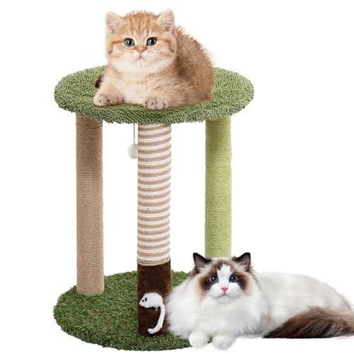 Woochpet Kratzbaum für Katzen, 49,3 cm (19,3 Zoll), mit Teppichboden und Spielbereich, drei Farben, mit Spielzeug, hängender Ball und Mausefalle für Katzen und Kätzchen im Innenbereich. von Woochpet