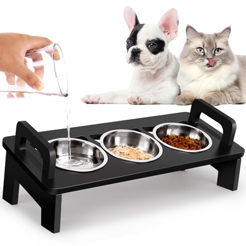 Erhöhte Futternäpfe aus Edelstahl mit Ständer, 15 geneigt, für Indoor-Katzen, Anti-Erbrechen, Schnurrhaar, Müdigkeit und spülmaschinenfest, Schwarz Erhöhte Futternäpfe aus Edelstahl mit Ständer, 15 geneigt, für Indoor-Katzen, Anti-Erbrechen, Schnurrhaar, Müdigkeit und spülmaschinenfest, Schwarz von Woodever