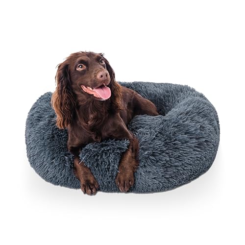 Donut-Hundebett, 50 cm, Dunkelgrau, für kleine Kätzchen, Welpen, beruhigendes Hunde- und Katzenbett, rund, Plüsch, Donut-Kuschelbett mit rutschfester Unterseite, Anti-Angst-Eigenschaften, Donut-Hundebett, 50 cm, Dunkelgrau, für kleine Kätzchen, Welpen, beruhigendes Hunde- und Katzenbett, rund, Plüsch, Donut-Kuschelbett mit rutschfester Unterseite, Anti-Angst-Eigenschaften, von Woof & Whiskers
