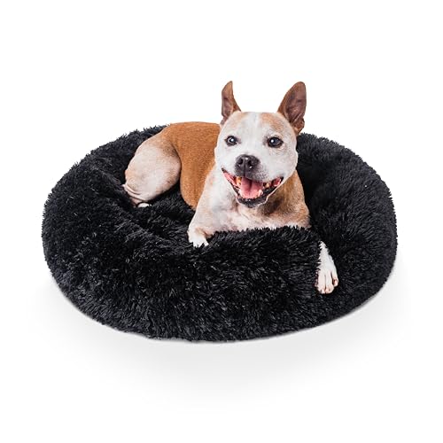 Woof & Whiskers Donut-Hundebett, Donut-Bett, beruhigendes Hunde- und Katzenbett, rund, Plüsch, Donut-Kuschelbett mit rutschfester Unterseite, Anti-Angst-Eigenschaften, maschinenwaschbar (Schwarz, 60 Woof & Whiskers Donut-Hundebett, Donut-Bett, beruhigendes Hunde- und Katzenbett, rund, Plüsch, Donut-Kuschelbett mit rutschfester Unterseite, Anti-Angst-Eigenschaften, maschinenwaschbar (Schwarz, 60 von Woof & Whiskers